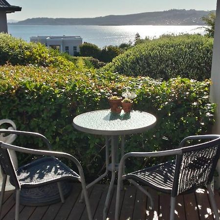 Charlies@Hilltop Deluxe Retreat Bed & Breakfast Taupo Ngoại thất bức ảnh